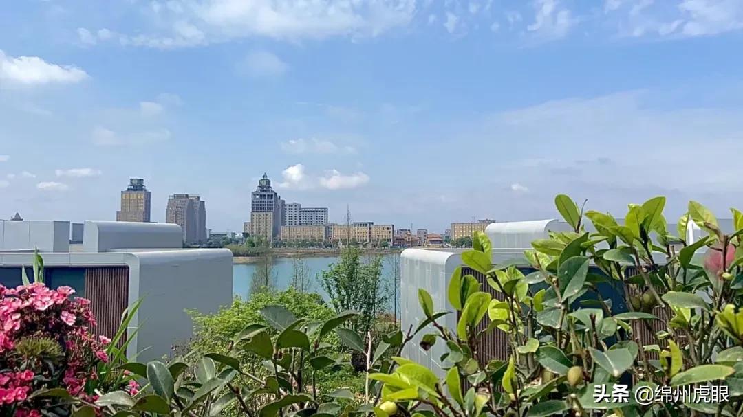 绵阳2021交房的高品质楼盘,绵阳各区域的高端楼盘