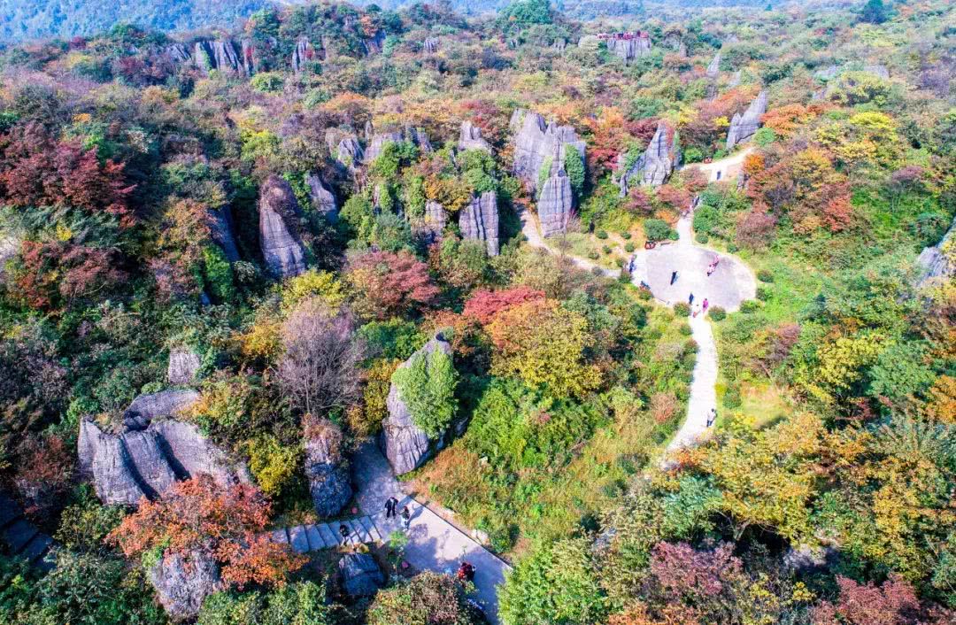 重庆避暑凉快的地方,重庆人都去贵州哪里避暑最好