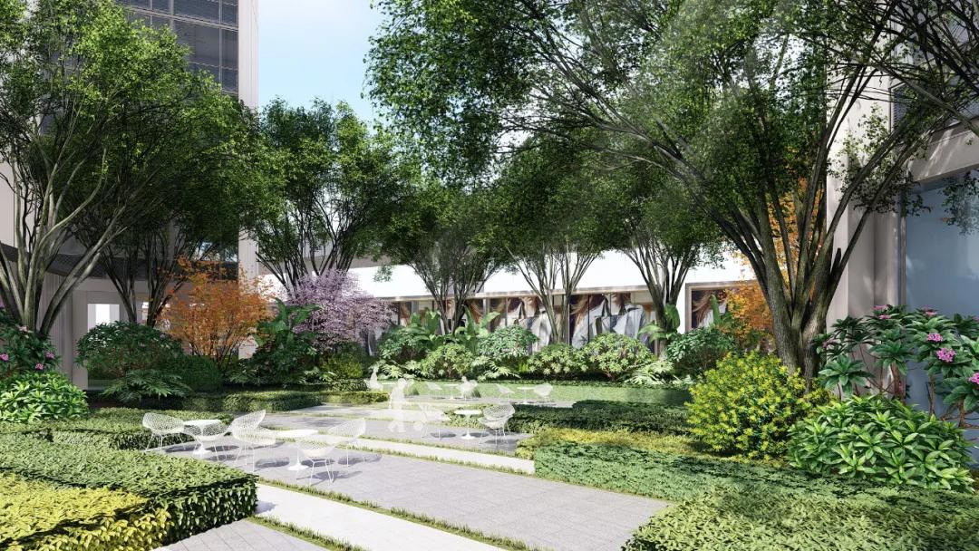 在深圳安家要有多少钱,在深圳安家真实感受