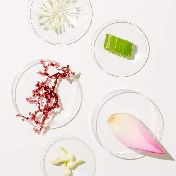 泰国梵璞丽精油怎么样,泰国梵璞丽精油