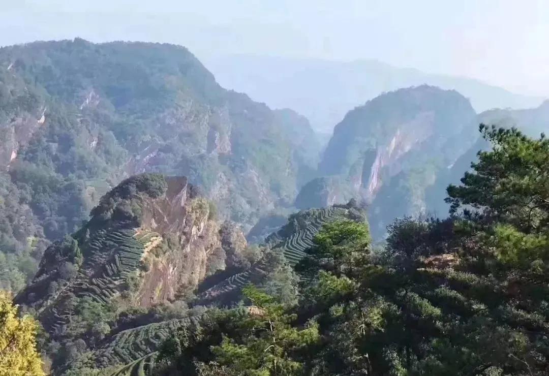 细品武夷岩茶十全肉宴,岩骨花香岩茶