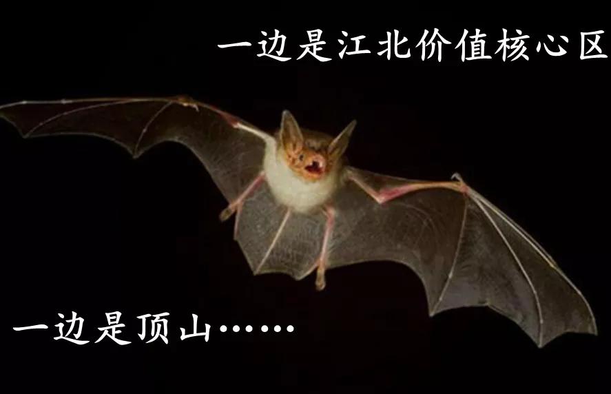 融侨誉江府价格暴跌,融侨誉江府中介