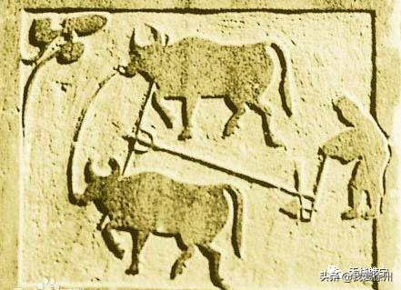 双沟改名,双沟镇改名观音镇