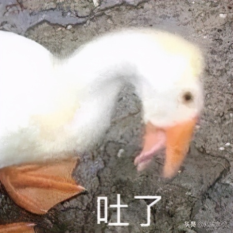 打码师怎么样了,打码师照片