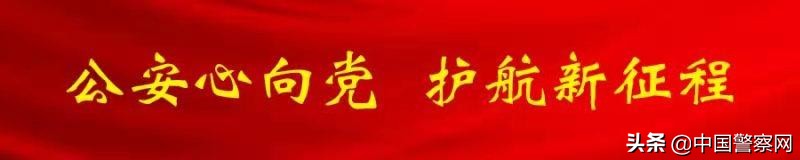 能力提升建设年全警实战大练兵,全警实战大练兵促队伍建设