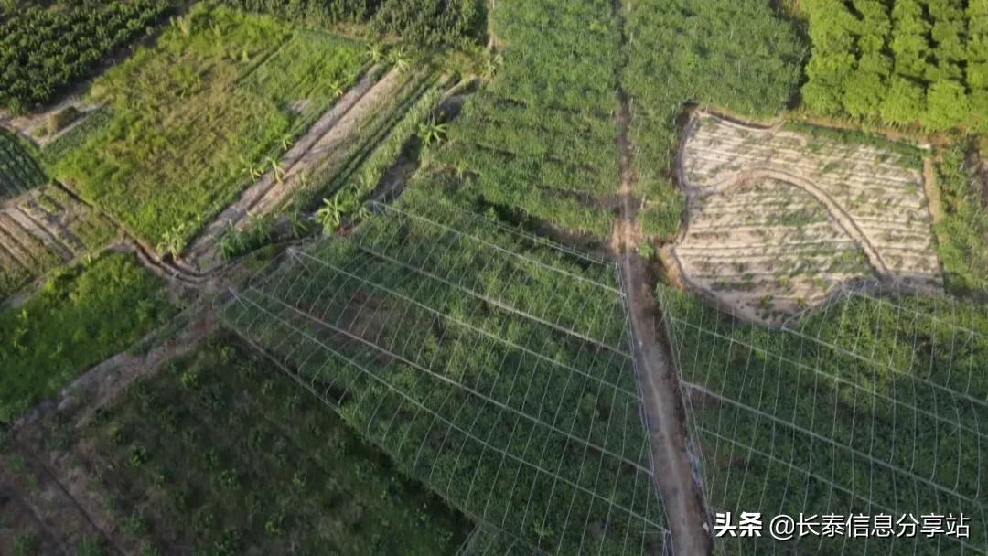 质量兴农绿色兴农工作成效,质量兴农绿色兴农的战略目标