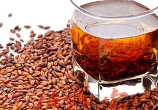 大麦茶怎么泡才正确,大麦茶和菊花枸杞能一起泡吗