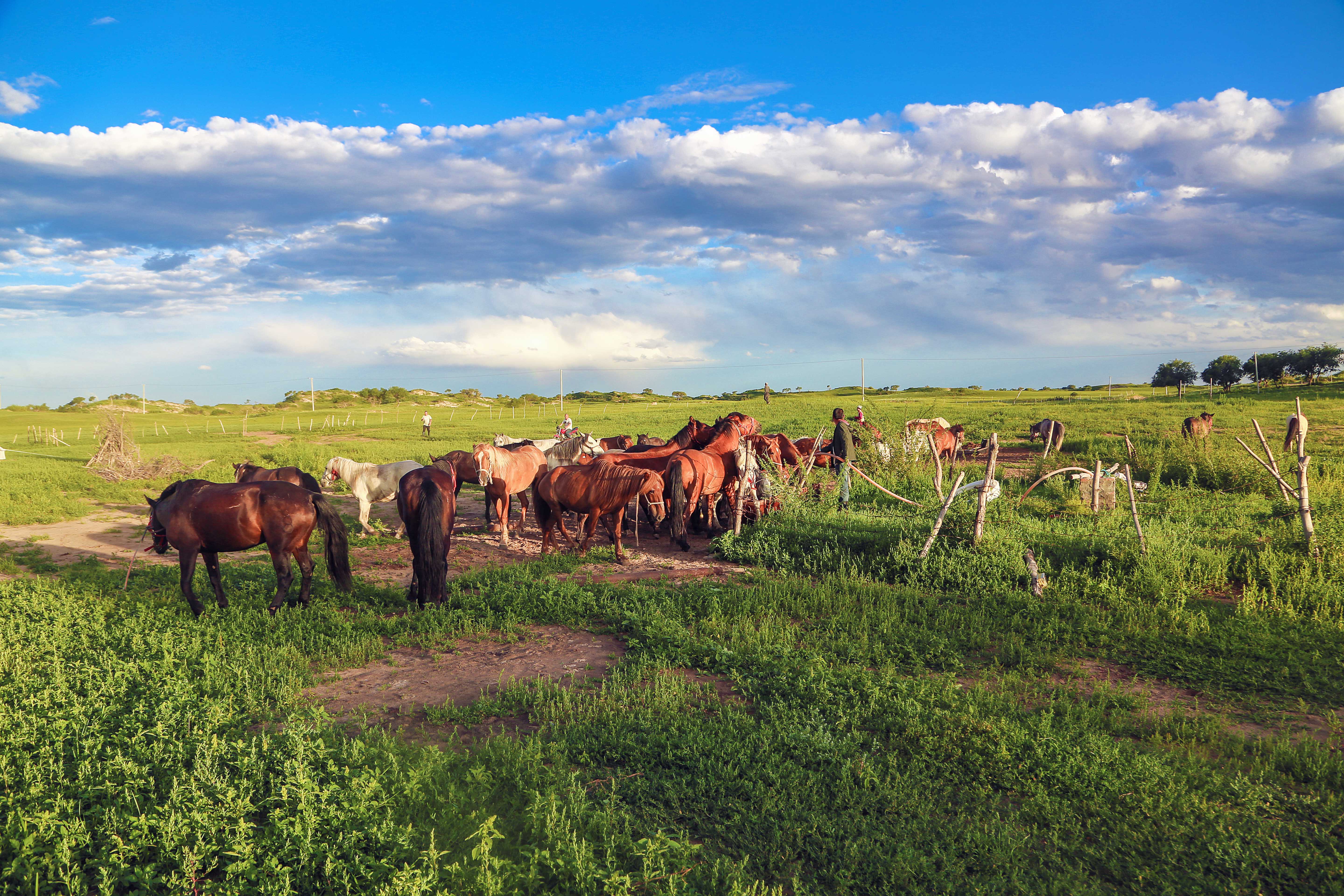 马背之旅旅游攻略,马背之旅旅游视频