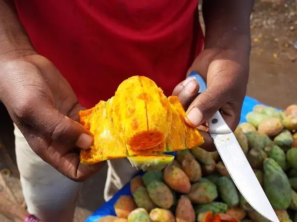 在埃塞俄比亚吃什么，对非洲美食没抱任何期待，甚至带着一丝恐惧