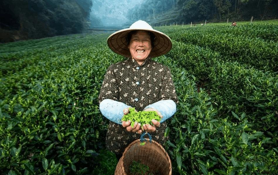 西湖区委书记高国飞：亚运来黄龙观赛，推荐游两景区