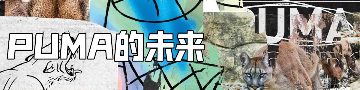 最值得入手的puma鞋,puma值得入手的鞋款