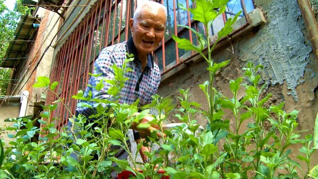 滇越百年米轨铁路小站通往远方,开远滇越铁路米轨历史沿革