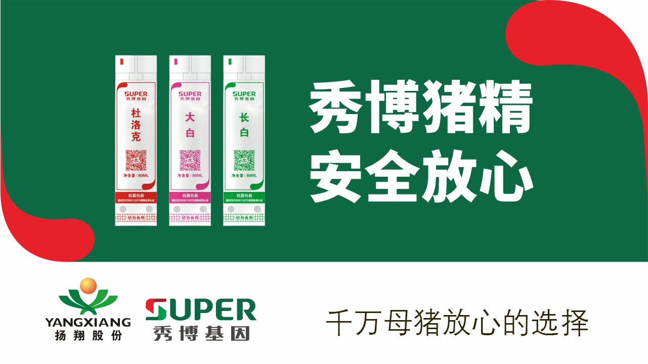 母猪临产前体温下降不吃怎么办,临产母猪体温正常呕吐怎么办