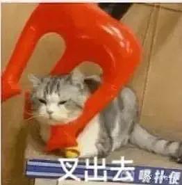 王校长孙一宁表情包,孙一宁王校长聊天记录表情包