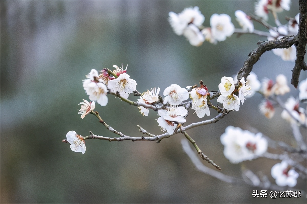 西山景区门票优惠,昆明西山风景区免费攻略