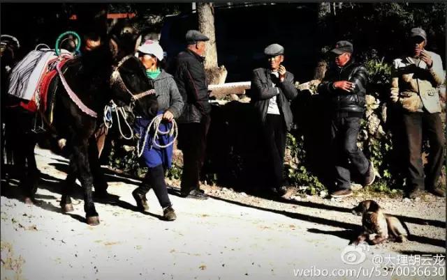 玉龙雪山附近原始村落,玉龙雪山下的村叫什么