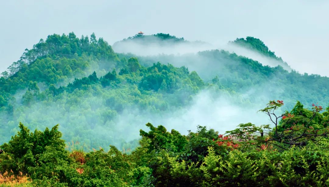“惠阳八景”视频上线，快来感受将军故里新风采！
