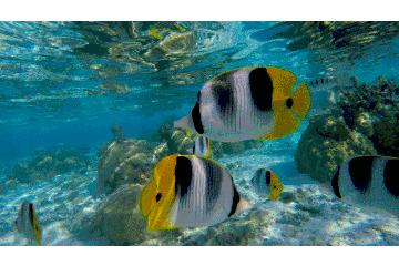 《人间尽兴清单》华姐的打开方式,你根本想不到