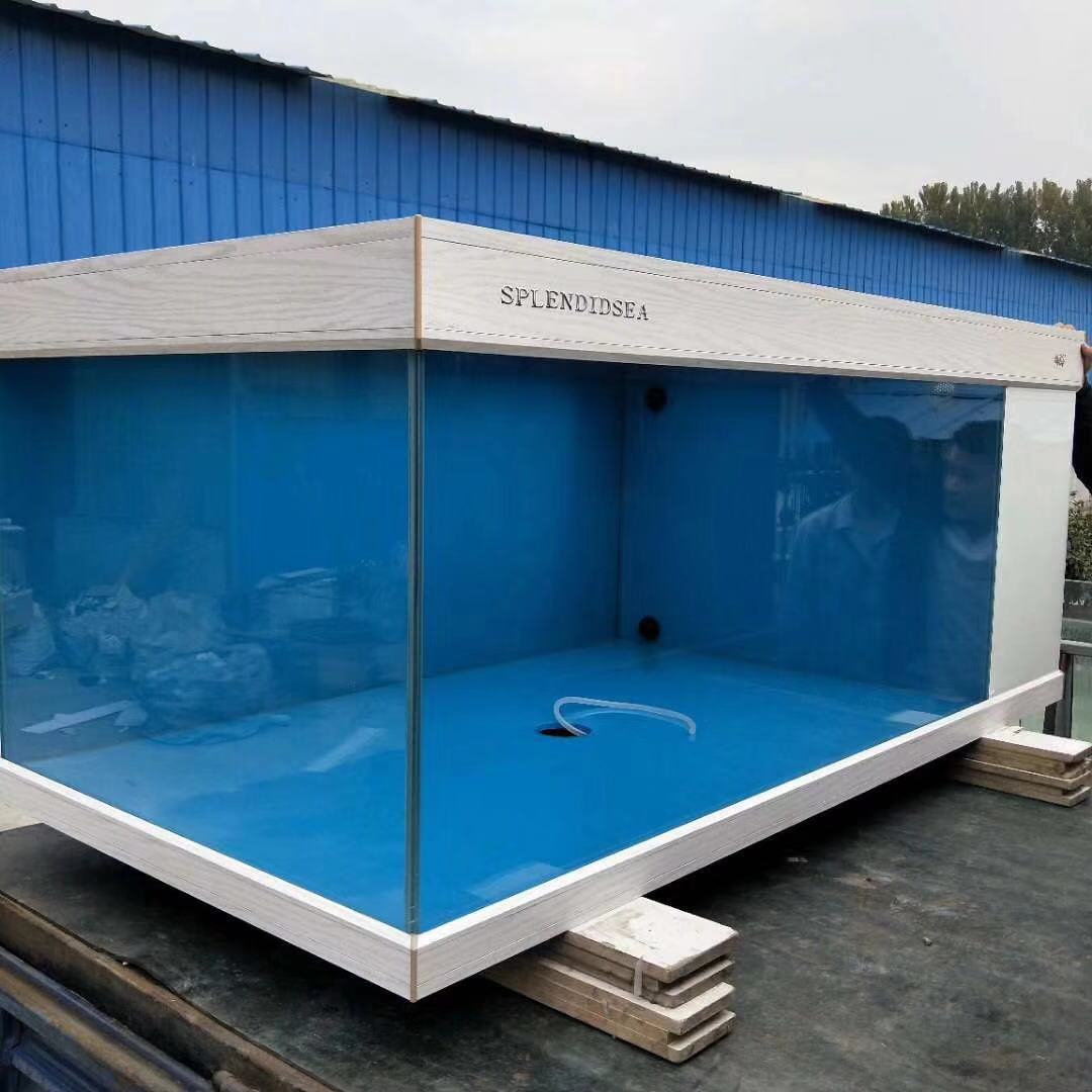 鱼缸养锦鲤鱼的方法和技巧,鱼缸新手养锦鲤鱼的正确方法