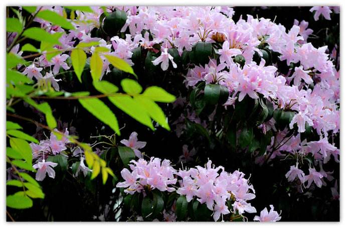 有关韩愈写春的绝句,韩愈关于寻找春天的诗