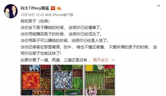 向太陈岚发长文痛骂周星驰,向太陈岚对张柏芝的评价