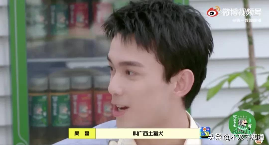 中华田园犬小时候的可爱图片,中华田园犬颜值天花板小奶狗