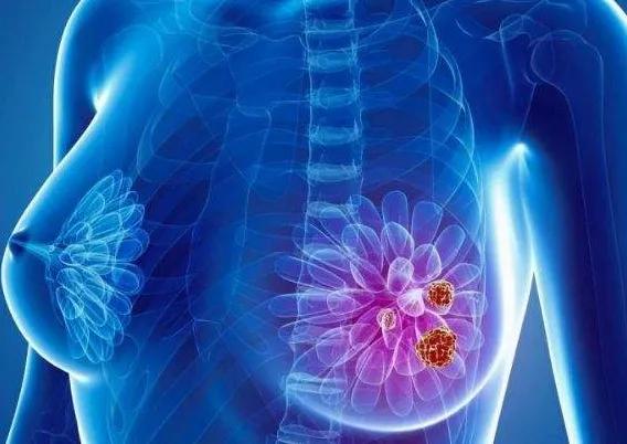 享生课堂：别想了，促排药物不是你想的那样