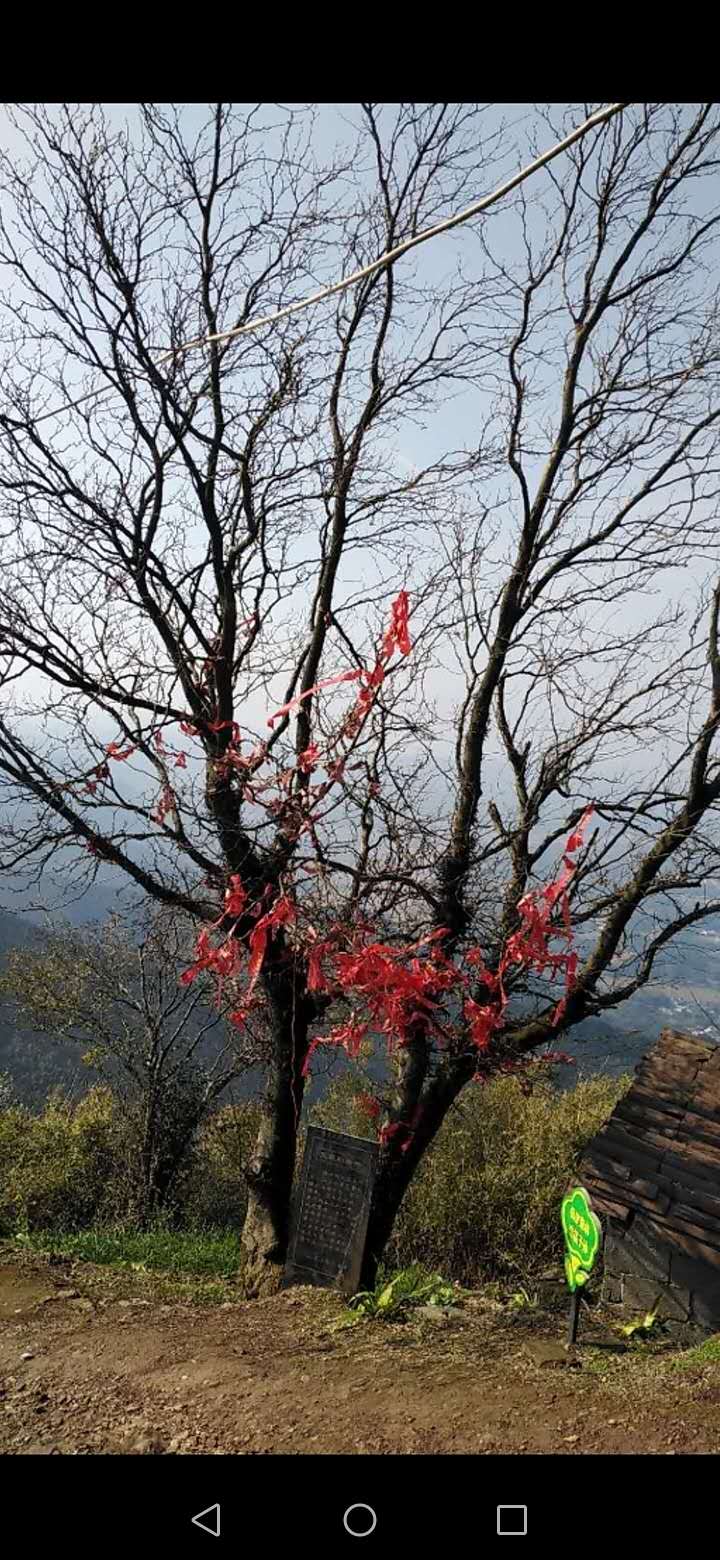 长沙周边农家乐一日游推荐第一名,长沙农家乐好玩的地方推荐一日游