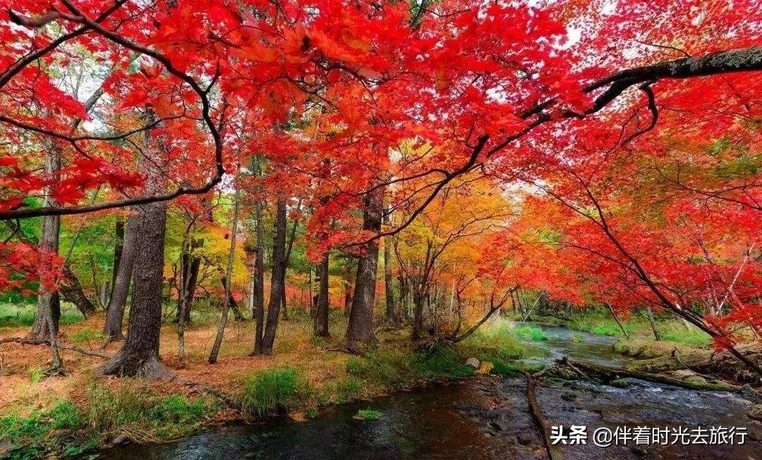 七八月份长白山天池怎么样,7-8月份的长白山旅游景点