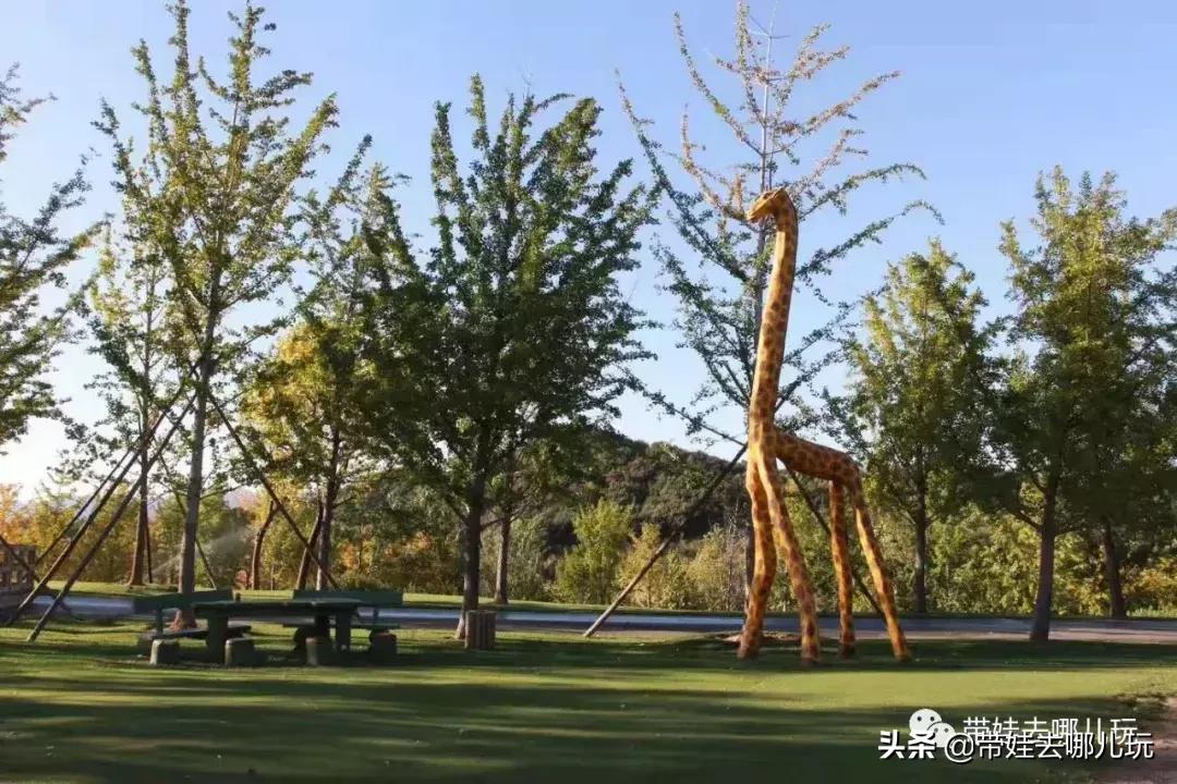 北京最有度假感的酒店，就在金海湖