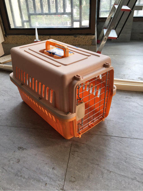 猫咪进猫包训练,如何训练猫咪进猫包