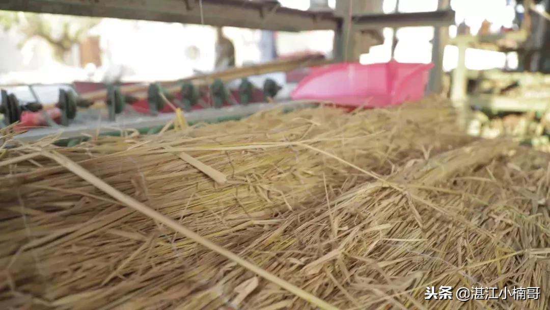 广东湛江革命村视频,湛江革命老区名单