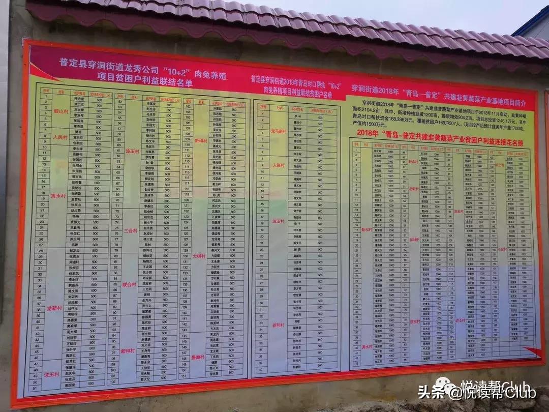 连成都人都赞不绝口的兔头空降安顺！这些兔兔还是安顺人自家养的