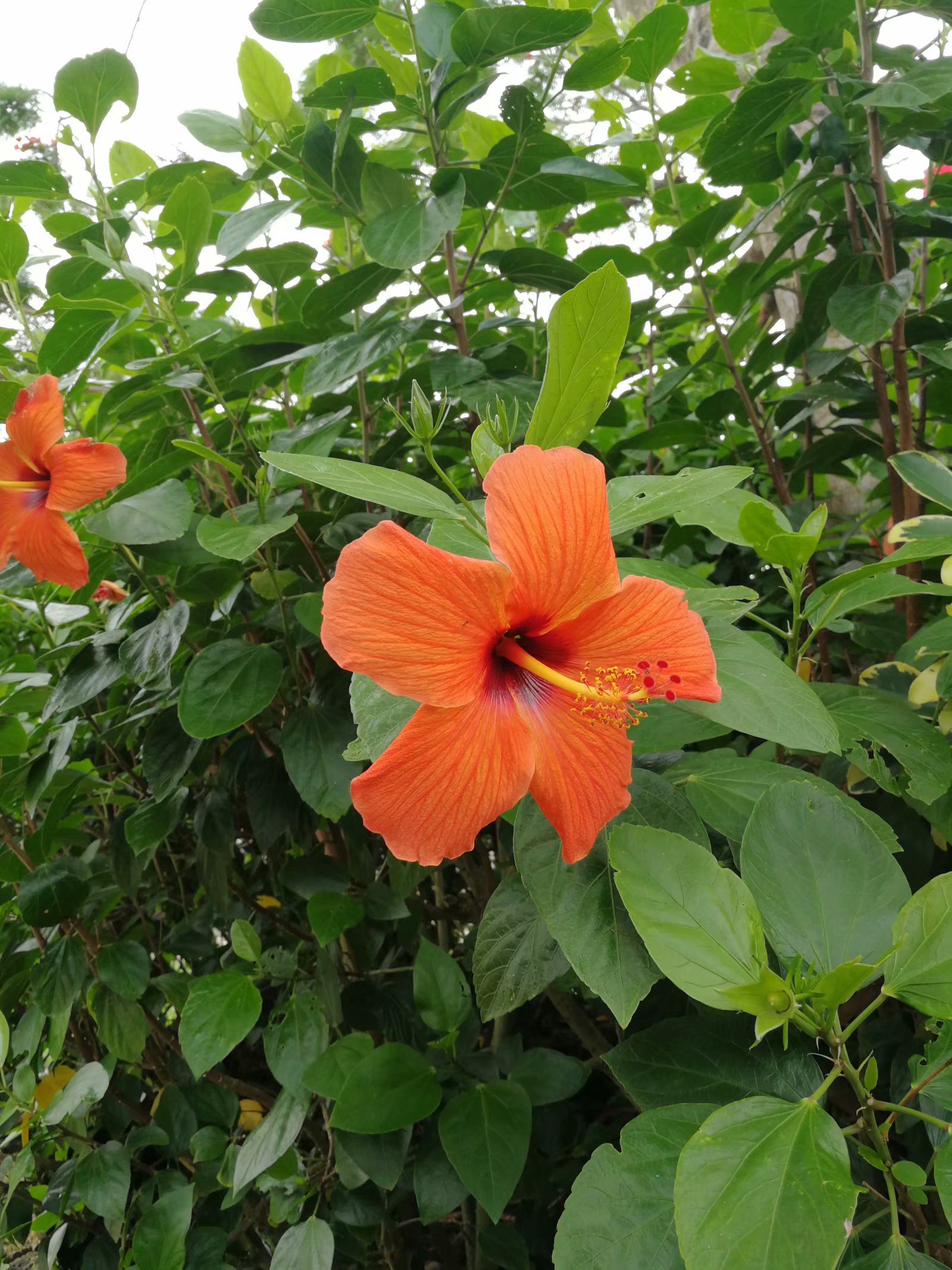 探秘古村落纪录片第一集,琉球王城遗址