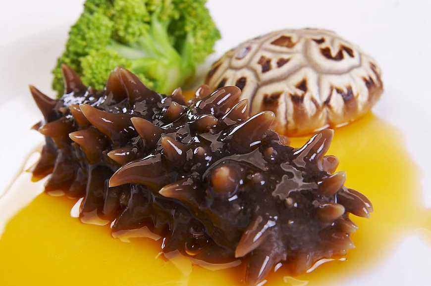 大连野生即食海参多少钱一斤,大连野生盐渍海参的价格