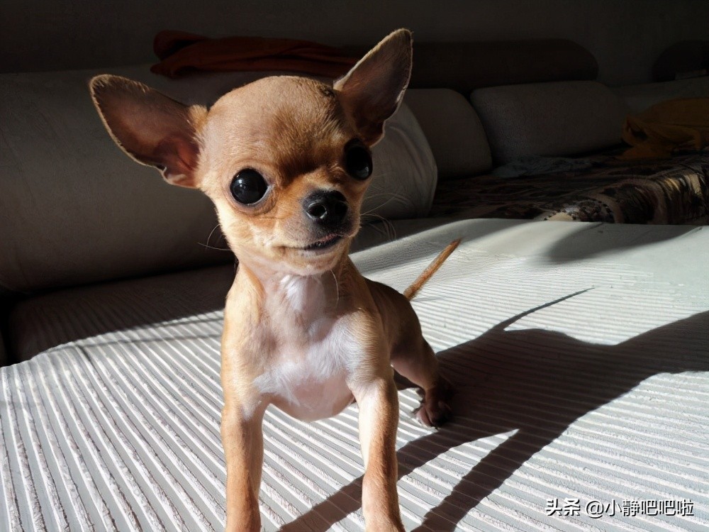 你不知道的国家冷知识危地马拉,墨西哥属于危险国家吗