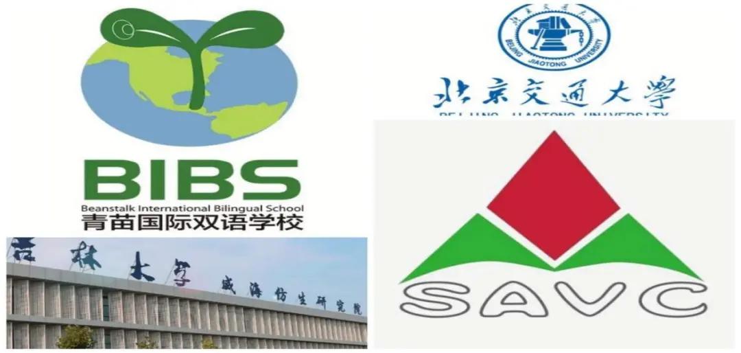 探寻北纬37度的秘密——一个向海而生的乐活小镇