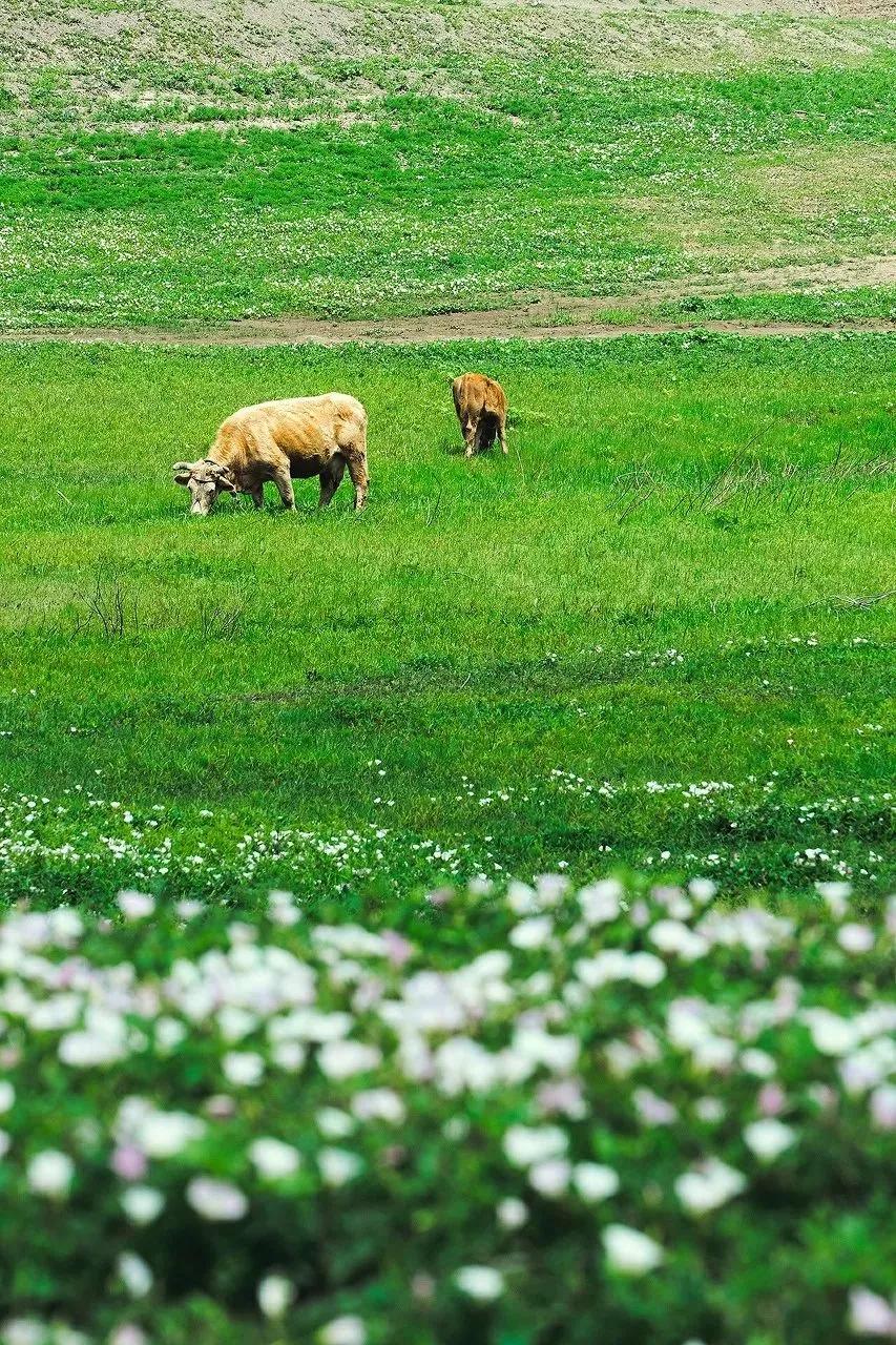 12条最美自驾线路,最美7条自驾游公路线路