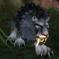 怀旧服联盟猎人升级路线,怀旧服联盟盗贼升级攻略