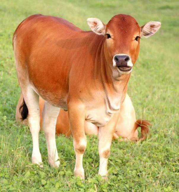 旅游中的回忆画,回忆生活照片的句子