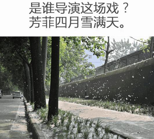 马鞍山深度体验,在马鞍山生活过的人