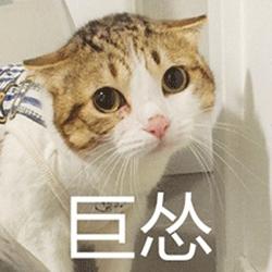 上海前100姓氏排行榜,上海前100个姓氏排名