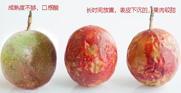 6鏈堝簲瀛ｇ櫨棣欐灉,7鏈堜唤鍝鐧鹃鏋滄渶濂藉悆