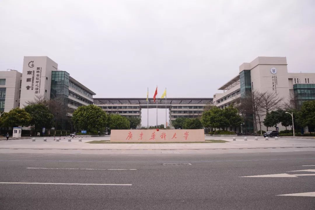 盘点院校前身中央民族大学,广东院校大盘点