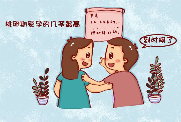 助孕小知识！排卵期并非固定，这3个方法能测试真正排卵期！