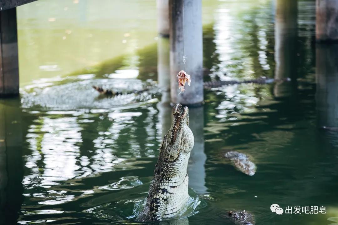 长隆飞鸟乐园怎么去长隆欢乐世界,汉溪长隆地铁站去长隆飞鸟乐园