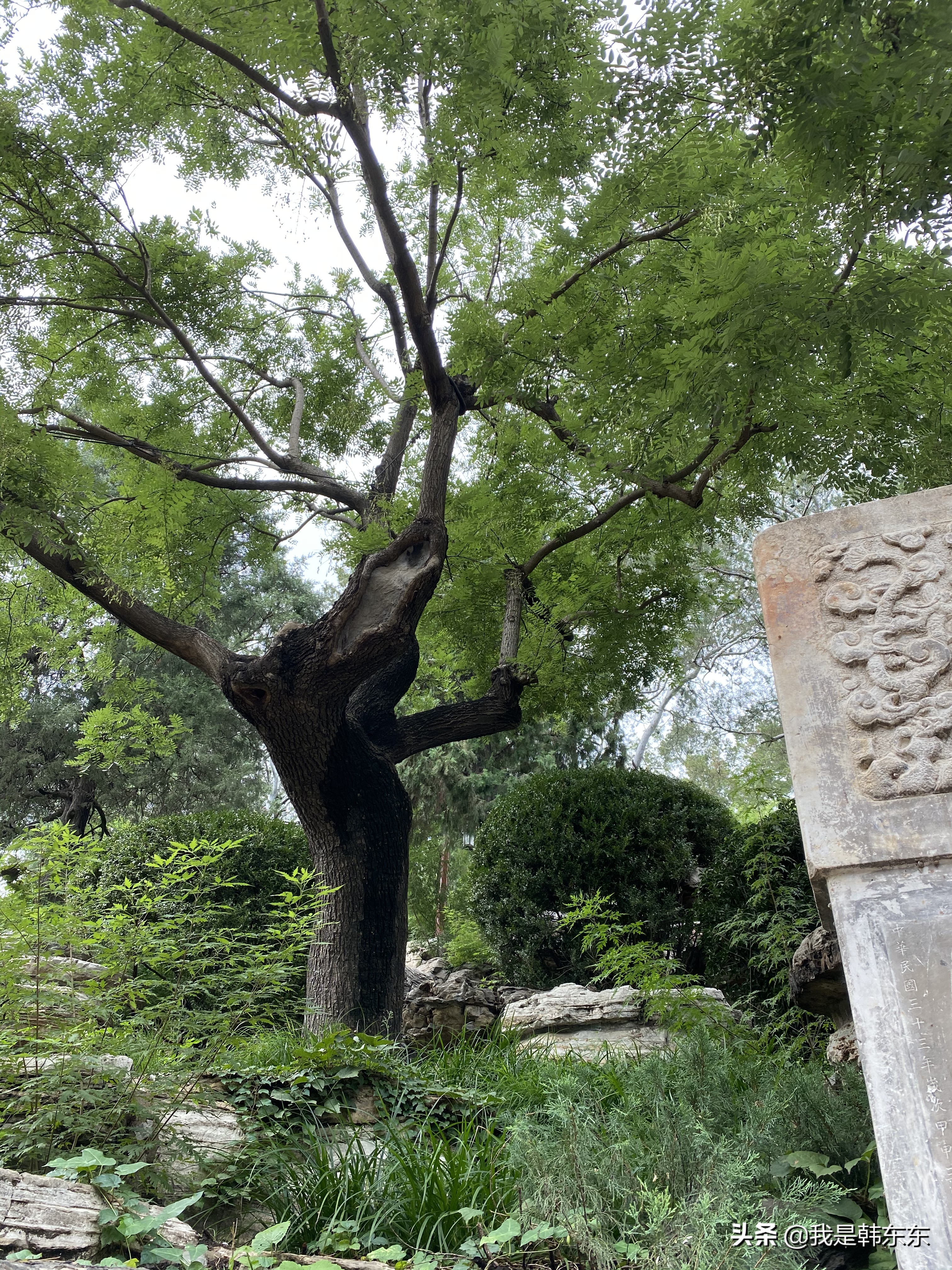 景山公园是几级景区,国家级文物保护单位保护范围