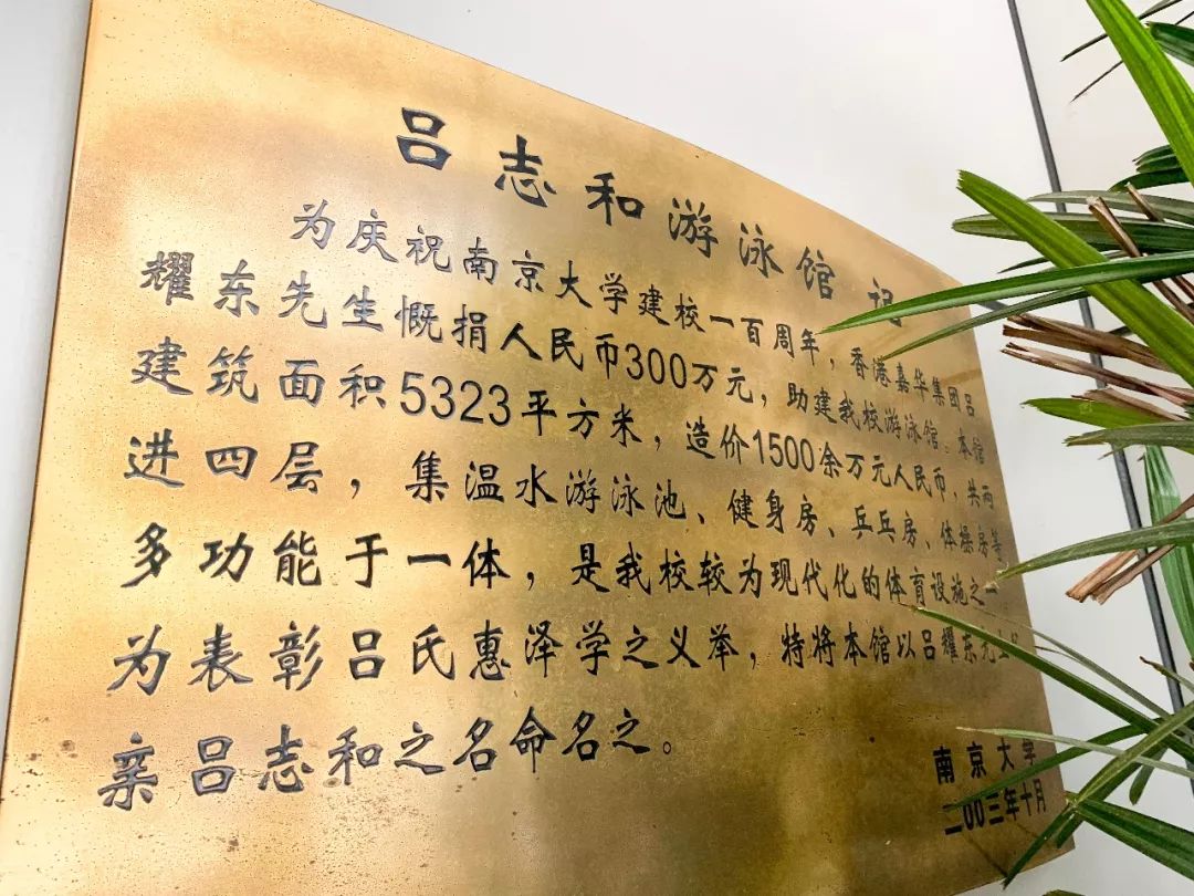 南京自由潜水泳池,南京好玩的游泳池