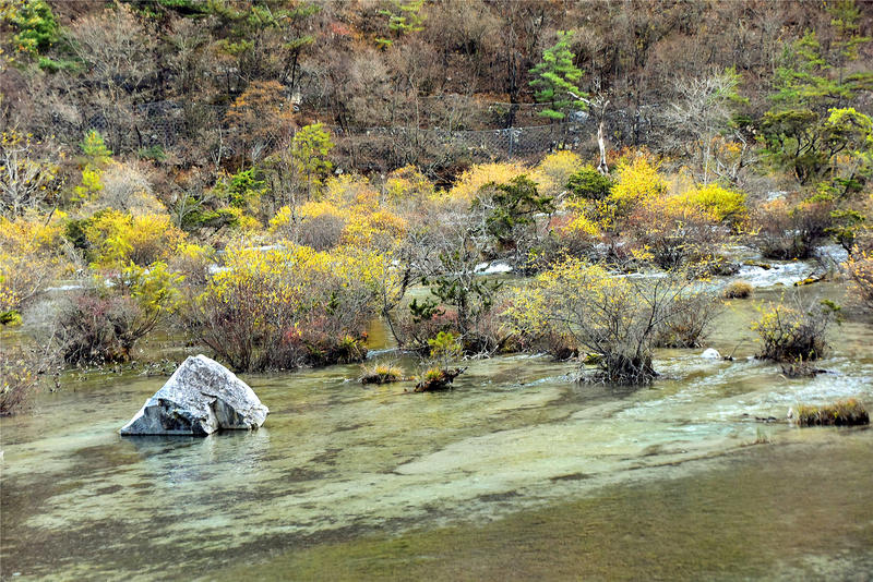 置身于童话中的九寨沟,畅游人间仙境黄龙九寨沟七日游