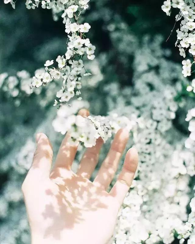 摄影怎么拍才好看教程,如何学会摄影拍照技巧